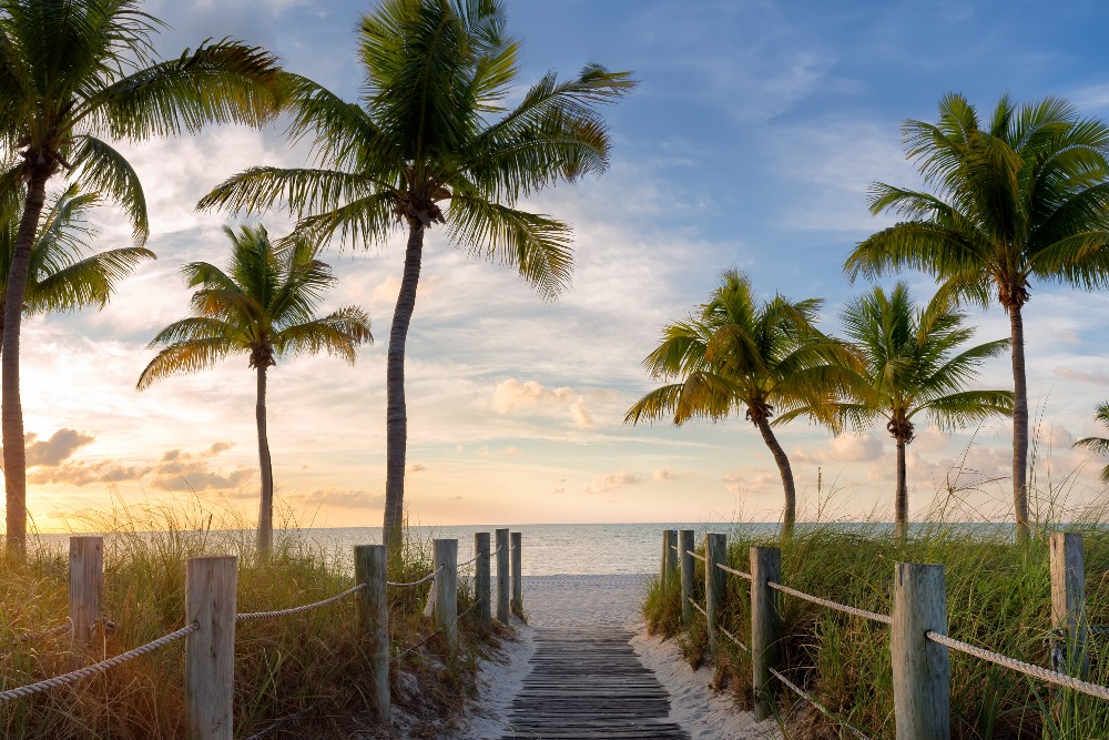 walkway to beach with palm trees at sunset