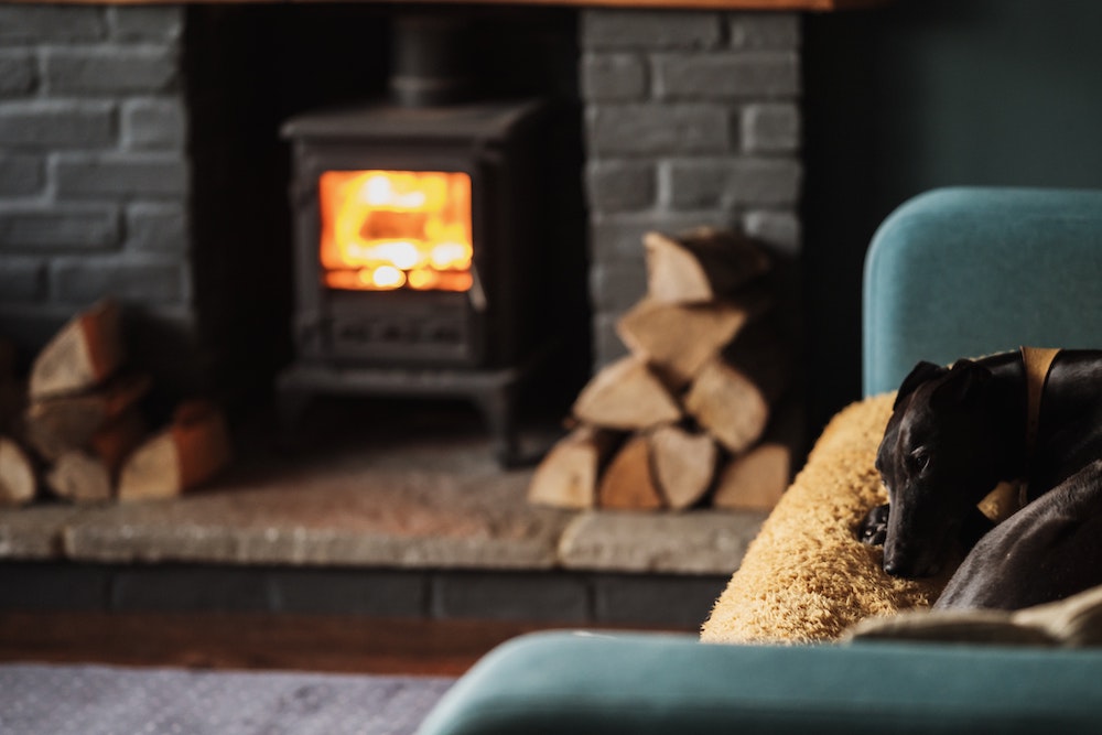 dog on couch with fireplace in the background